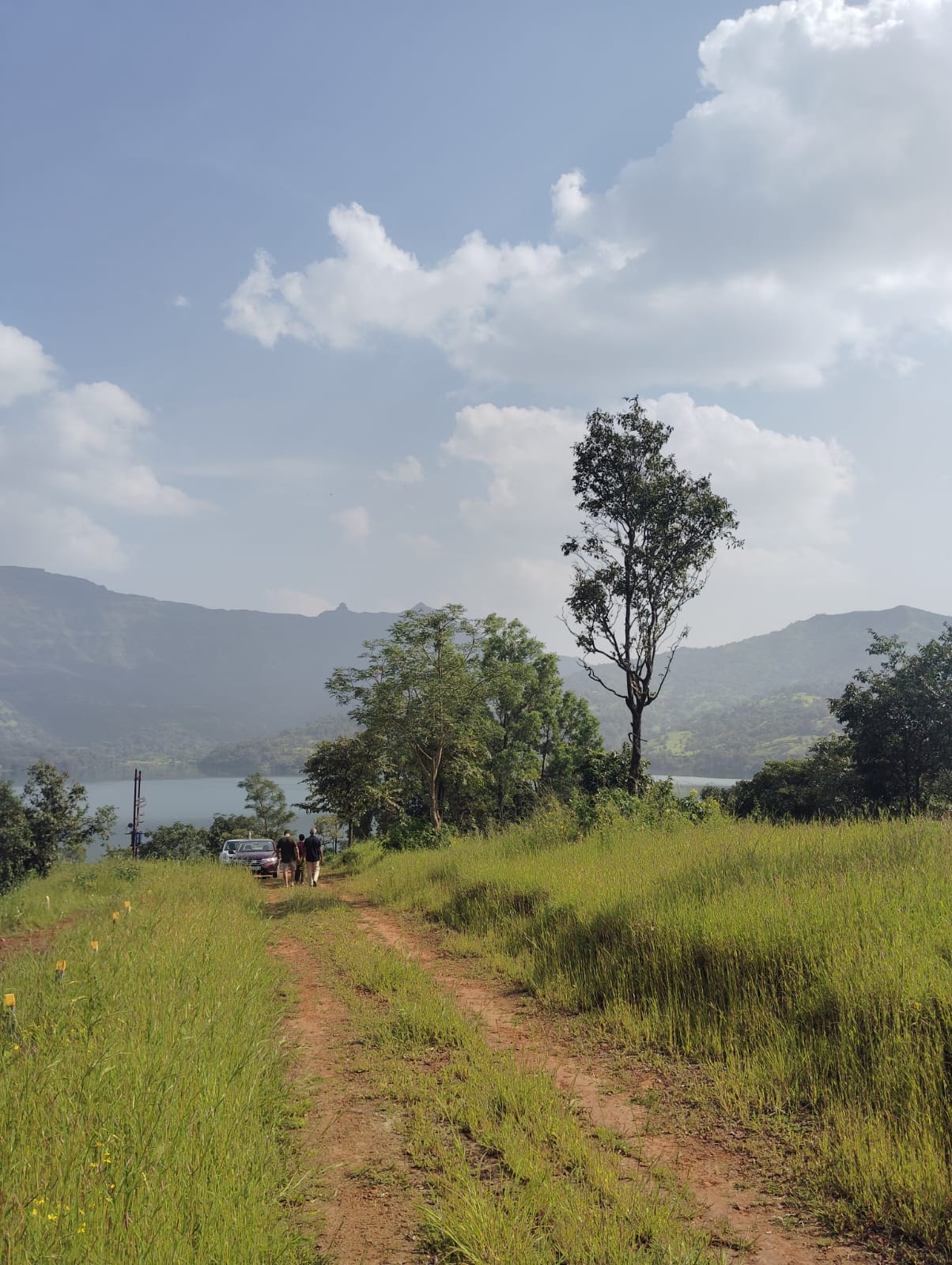 Serenity Hills Plots for sale Kanand, Rajgad (Velhe) , Velhe